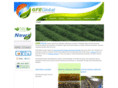 gfeglobal.com