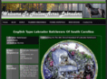 hollowacreslabradors.com