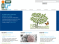 islandsfirst.com