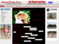 vietnam-holiday-online.info
