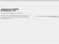 digitalproletariat.com