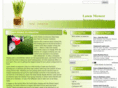 lawnmoweraccessories.info
