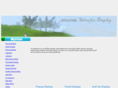 silverfox-display.com