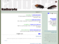 hadbara4u.com