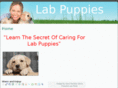 labpuppies.org