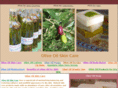 oliveoilskincare411.com