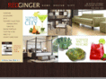 redgingerhome.com
