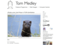 tommedley.com