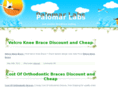 palomar-labs.com