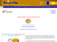 thelightingguyontario.com