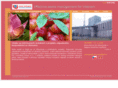 waste-viet.com