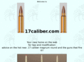 17caliber.com