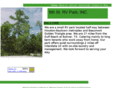 9thstrvparkinc.com