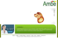 ambe-group.com