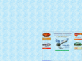 iranairoffice.com