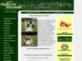 shamrockshootout.com
