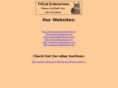 fitcat2u.com