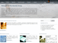 nanshegroup.com