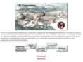 clicorp.com