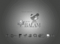 grupobalam.com