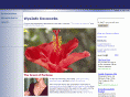 wysinfo.com