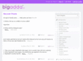 bigadda.net