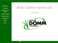 briandomm.com