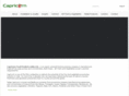 capricorngroup.com