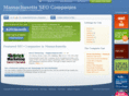 massachusettsseocompany.com