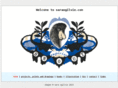 saraogilvie.com