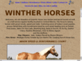 wintherhorses.com