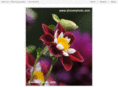 shoverphoto.com