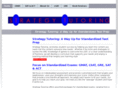 strategytutoring.com