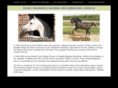arabianhorseguide.com