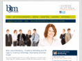 bluelizardmarketing.com
