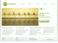 ehsconsulting.com