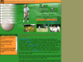 joelrossgolf.com