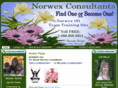 norwex101.com