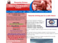 panachedrivertraining.com
