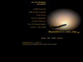 planeweighsusa.com