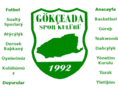 gokceadaspor.com