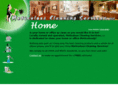 meticulouscleaningservices.com