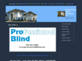 professionalblind.com