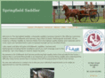 springfieldsaddler.com