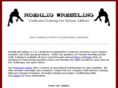 teamroehlig.com
