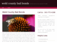 bailbondsweldcounty.com