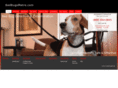 bedbugsmetro.com