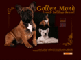 goldenmond.com