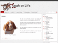 iowacityleashonlife.com
