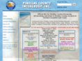 aapinellas.com